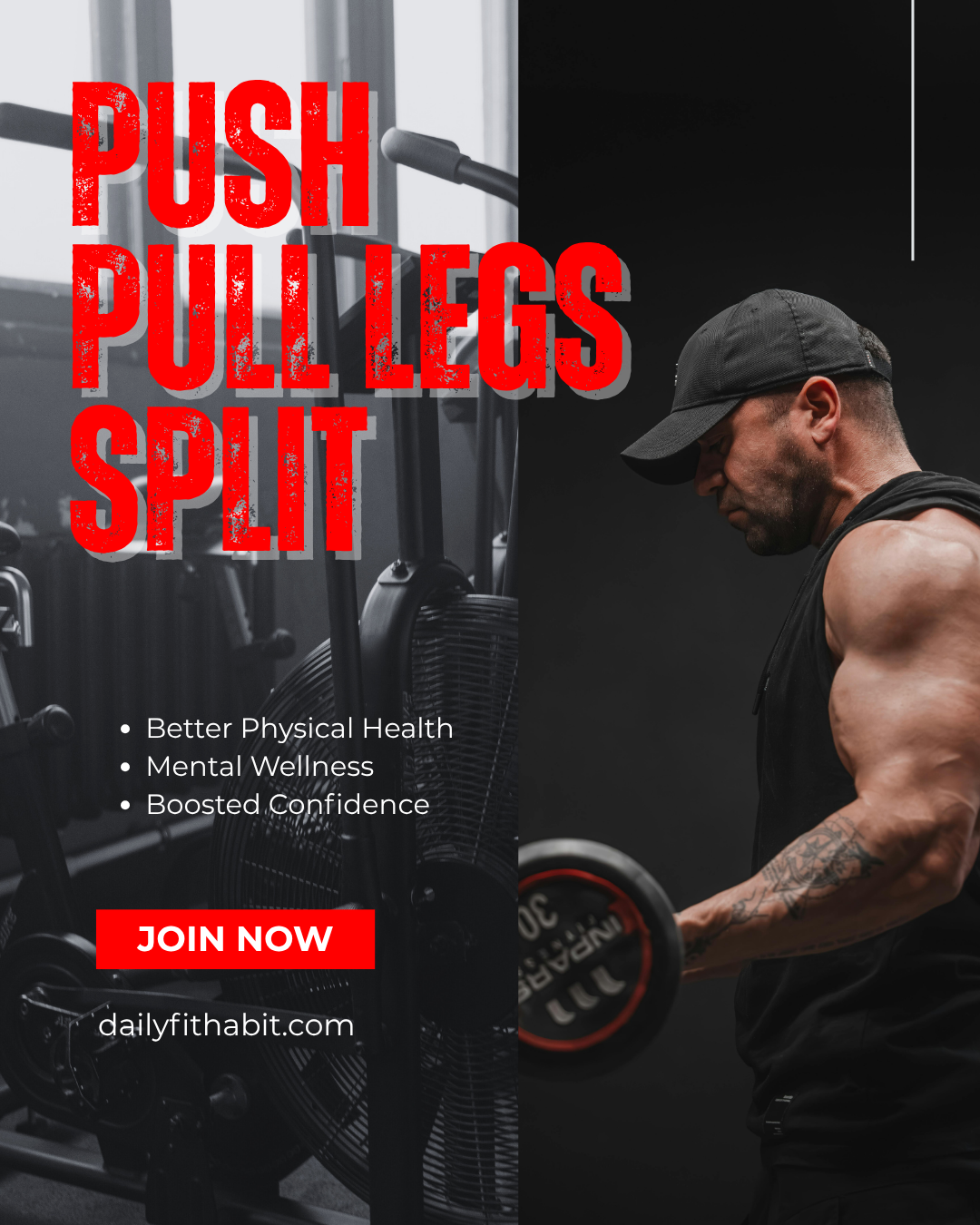 push pull legs split