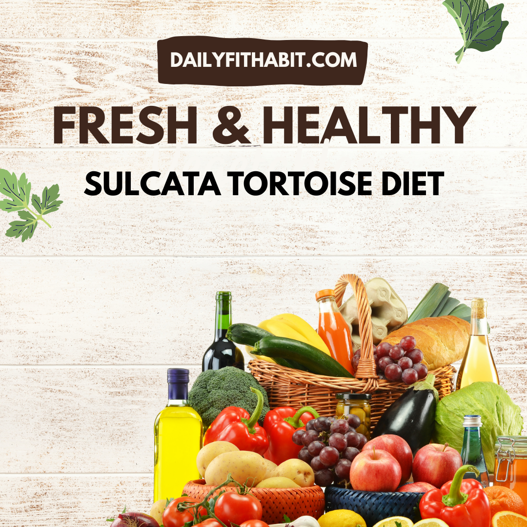 baby sulcata tortoise diet